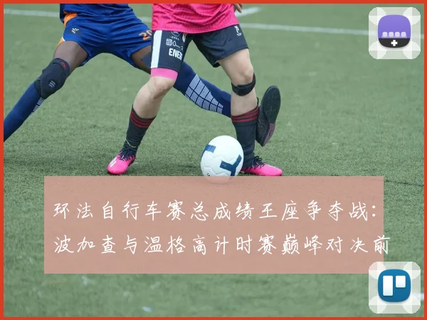 环法自行车赛总成绩王座争夺战:波加查与温格高计时赛巅峰对决前瞻