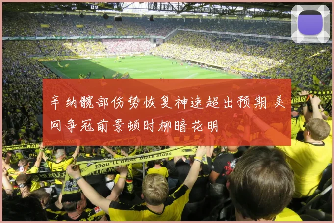 辛纳髋部伤势恢复神速超出预期 美网争冠前景顿时柳暗花明